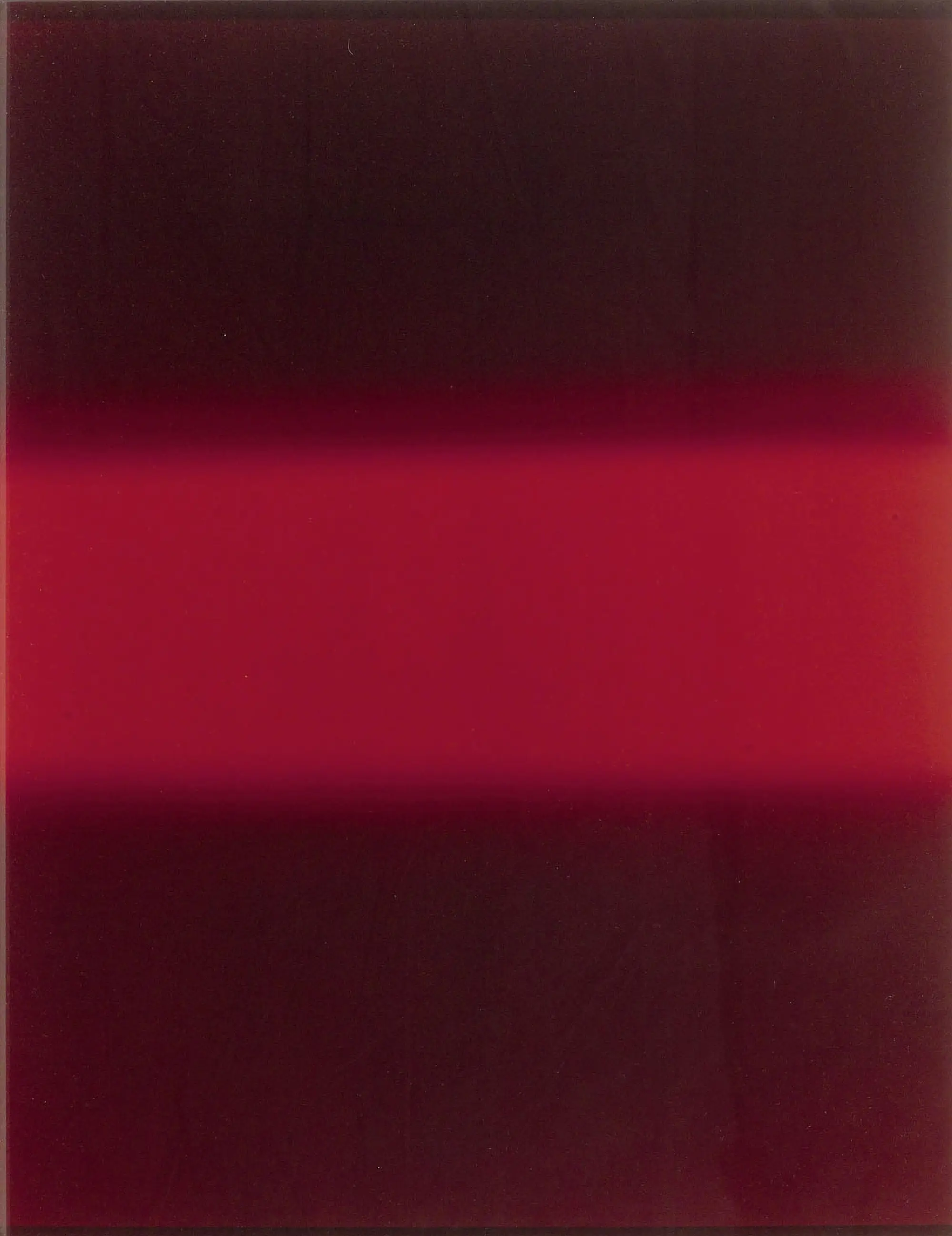 James Welling, Gate 2, 2002 28,37 x 24,37 cm (72,1 x 61,9 cm) unique C-print
