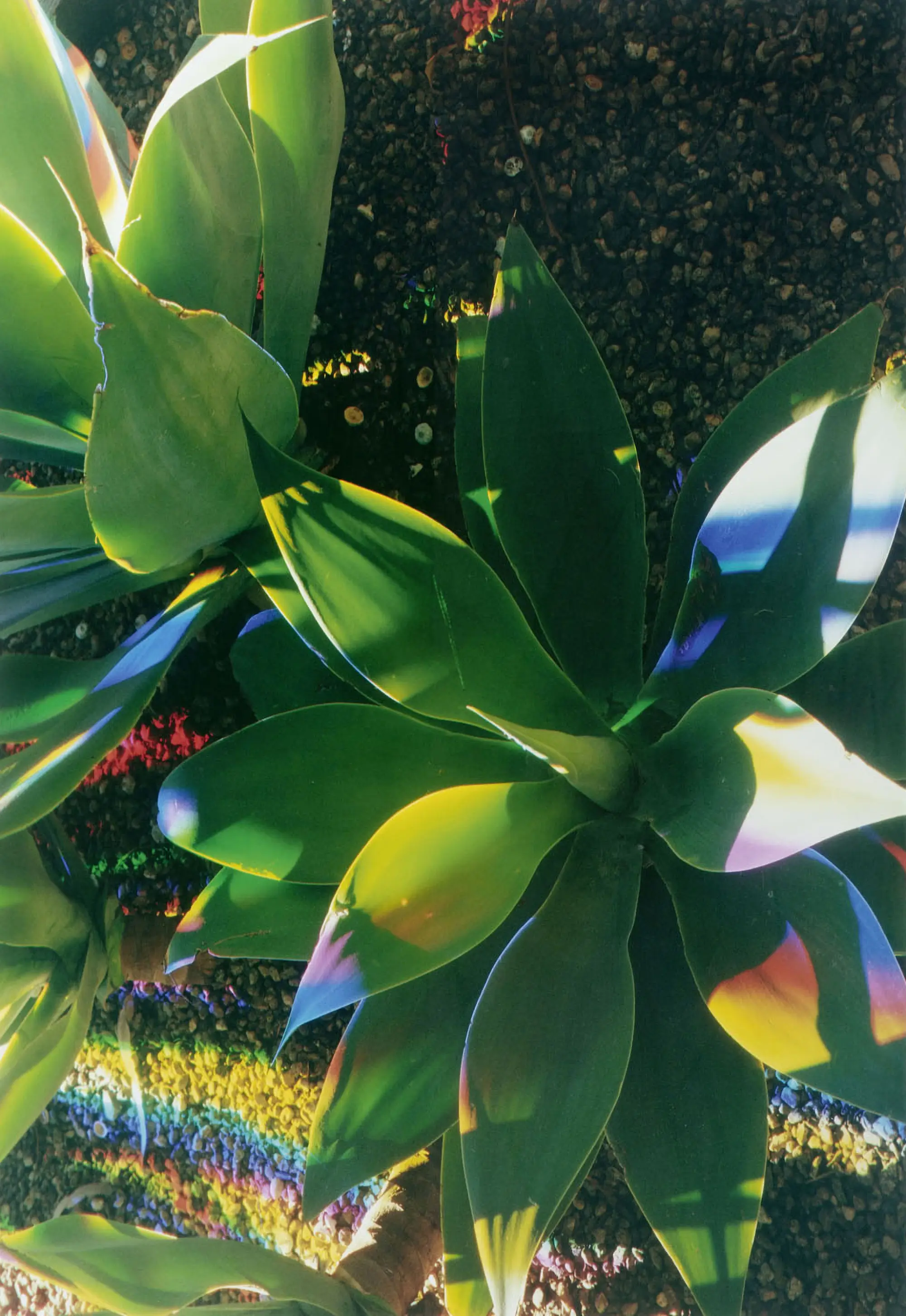 James Welling, H1, 2006 67.6 x 93.7 cm (119.1 x 160.3 x 5.1 cm) C-print on Fuji Crystal Archive paper